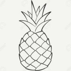 Mr.Pineapple