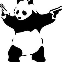 pro100gangsta.panda@gmail.
